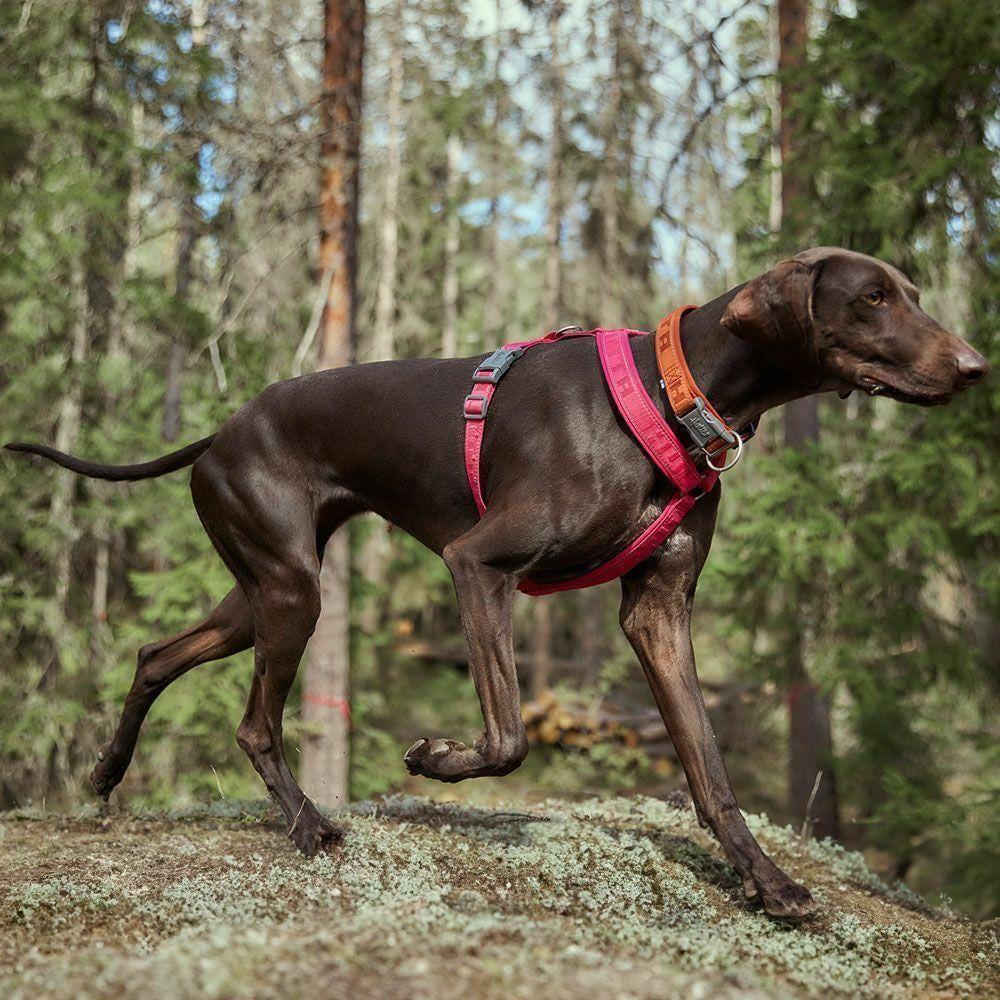 Hurtta Casual Collar Eco Cinnamon