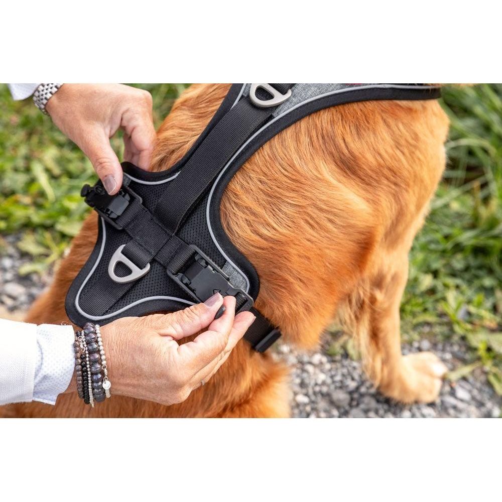 Curli Magnetic Hundsele Belka Comfort  Svart