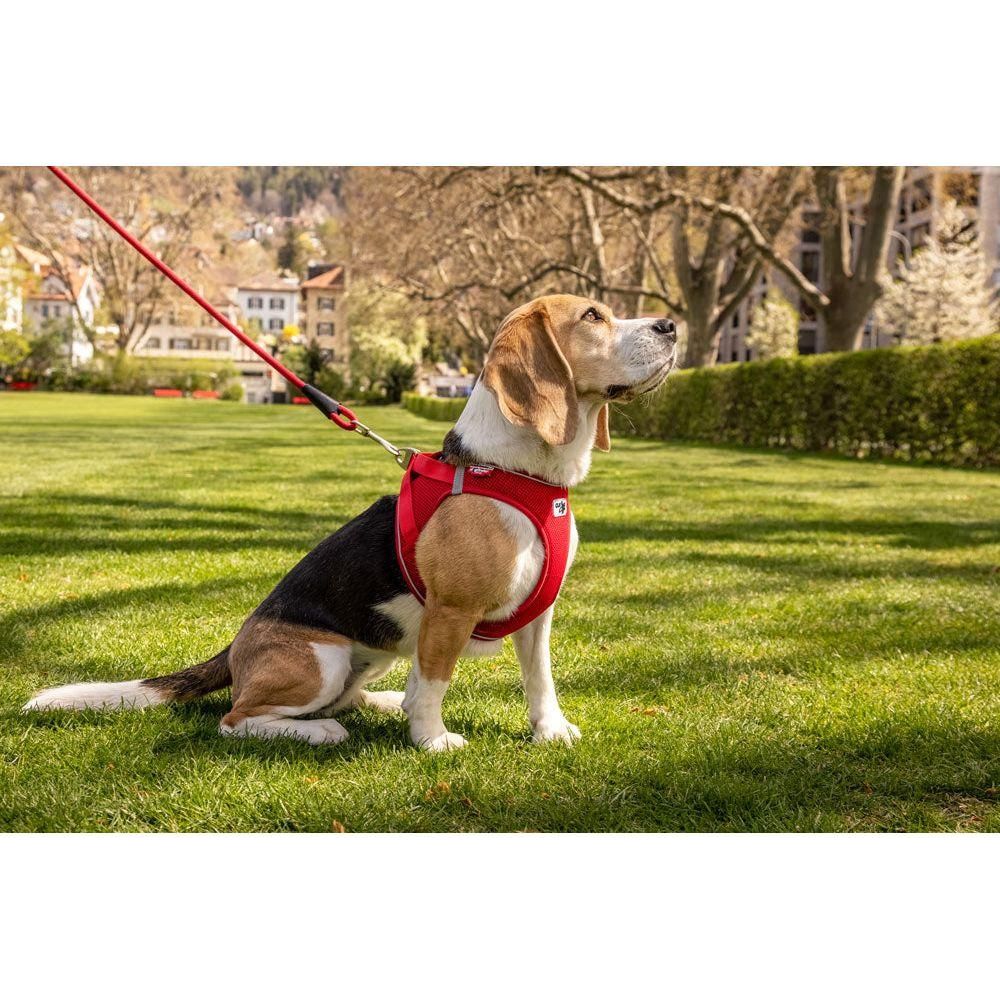 Magnetic Harness Air-Mesh Curli V2 Röd