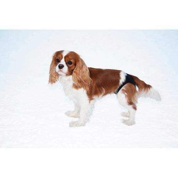 Tikskydd PetNation, 25 cm, svart