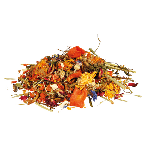 Fodermix natural för skäggagam, 100 g