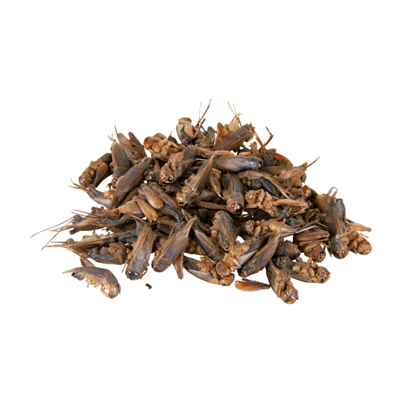 Syrsor, torkade, 250 ml/25 g