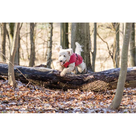 Vimy regntäcke, XS: 25 cm, röd