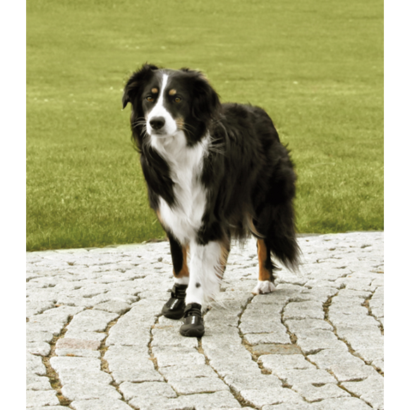 Hundskor Walker Active 2-pack, M, svart