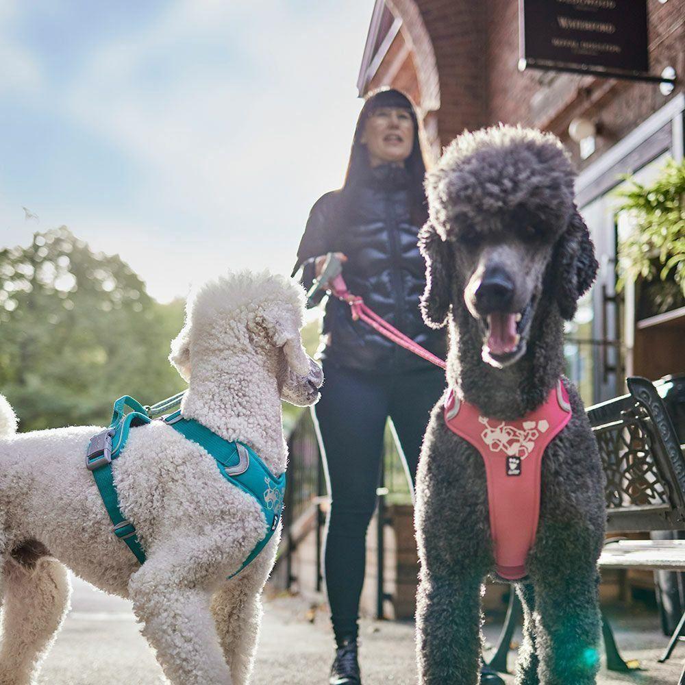 Hurtta Weekend Warrior Sele Desert