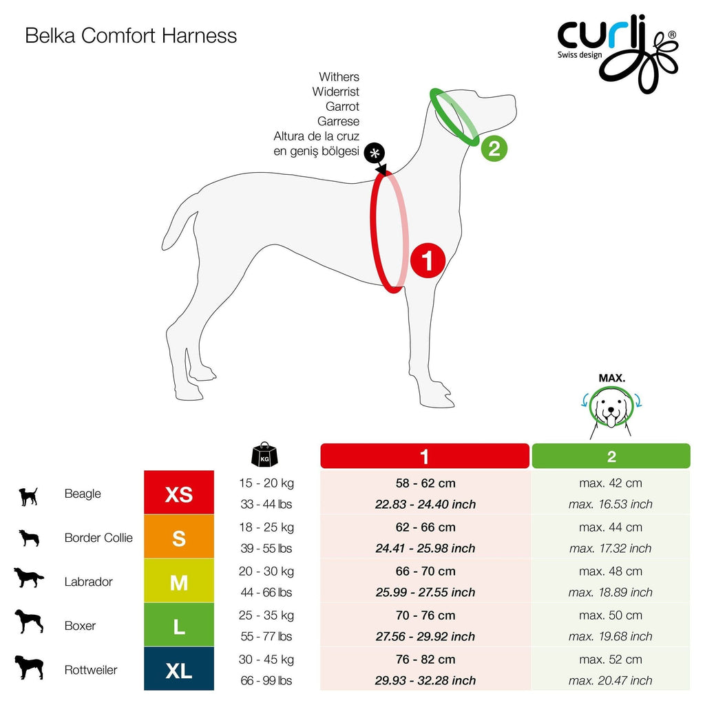 Curli Magnetic Hundsele Belka Comfort  Svart