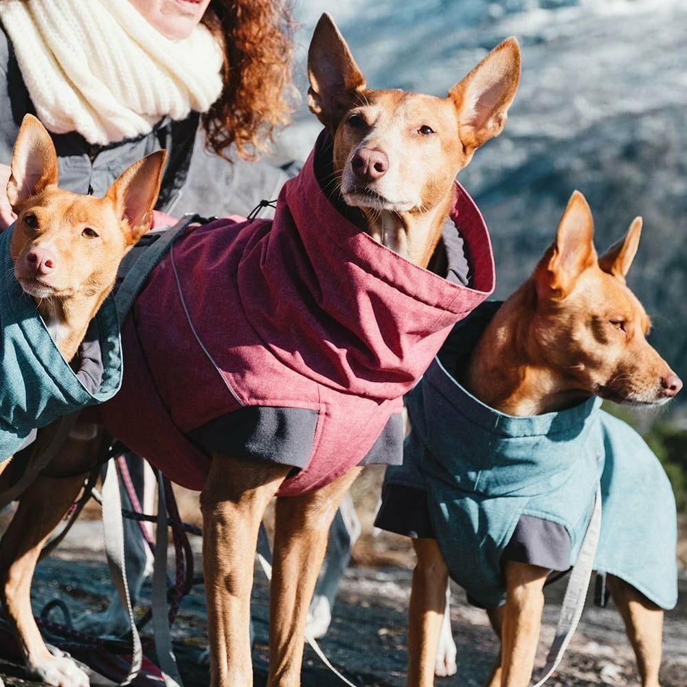 Hurtta Expedition Parka Buckthorn